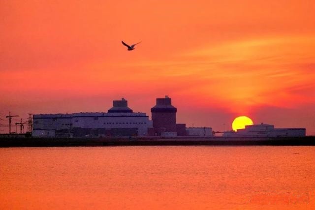 1748227908290507.jpeg 14.jpeg